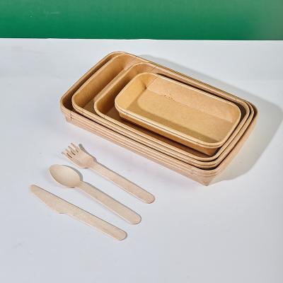 Kraft Paper Trays