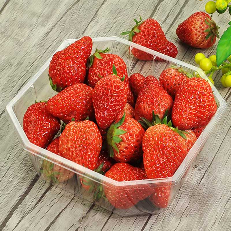 OEM / OEM All Acceptable